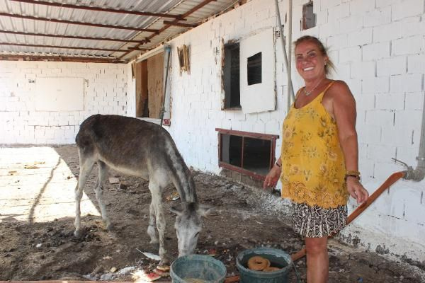Şiddet gören eşeği sahiplendi, adına 'Elmas' dedi - Sayfa 4