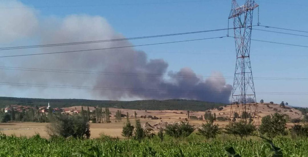 Kütahya Tavşanlı'da orman yangını - Sayfa 1