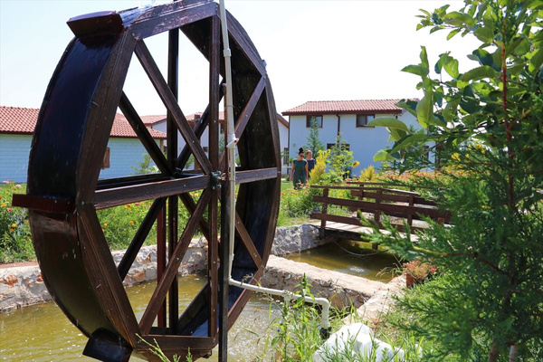 Tavuk çiftliğini ekoturizm tesisine dönüştürdü! İnsanları doğa ile buluşturdu - Sayfa 1