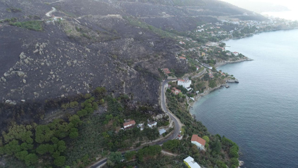 Marmara Adasındaki yangın 10 saatte kontrol altına alınabildi! 80 hektar.. - Sayfa 4