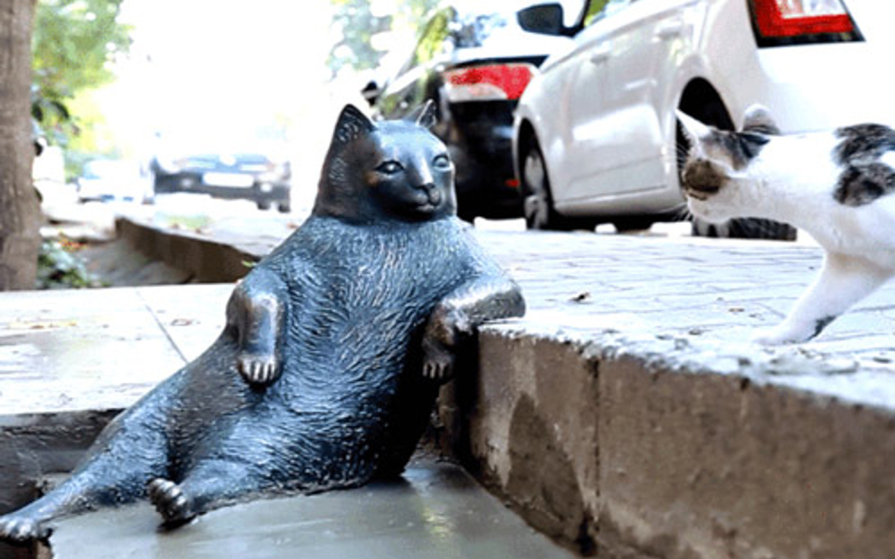 Fenomen kedi Tombili�nin heykeli bulundu Haber