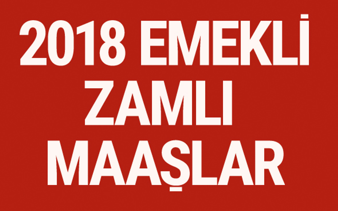 Emekli zammı 2018 ne kadar SSK - bağkur yeni zamlı maaşlar ...