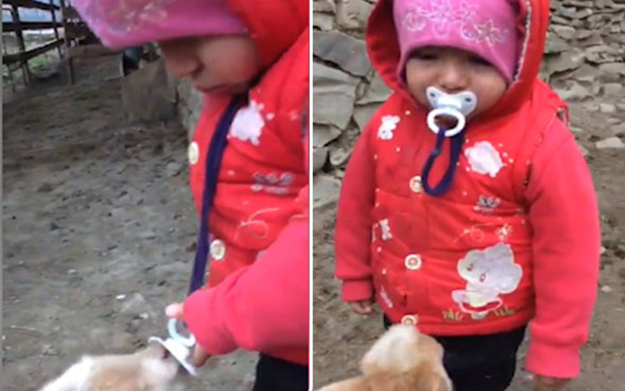 Bebek ile kuzunun gülümseten anları kamerada Haber