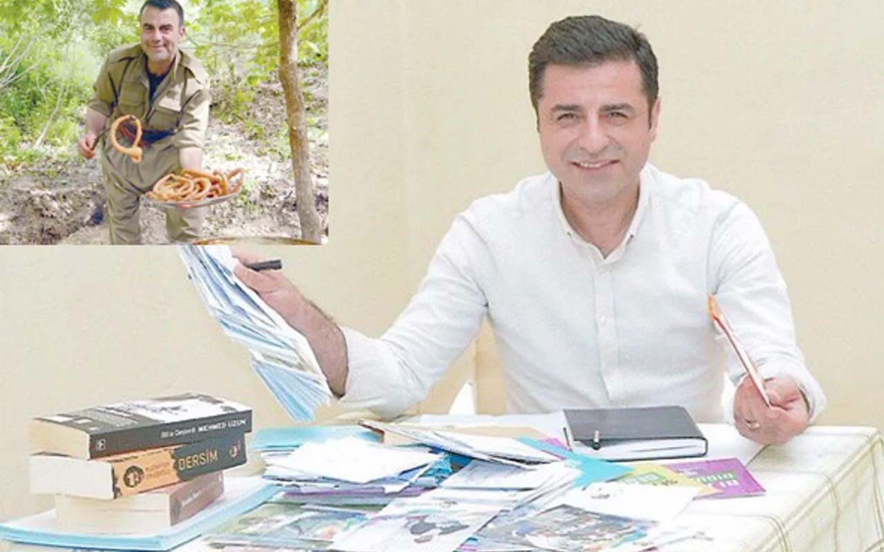 Selahattin Demirtaş'ın PKK'lı abisi Nurettin Demirtaş'a bakın! - Internet Haber