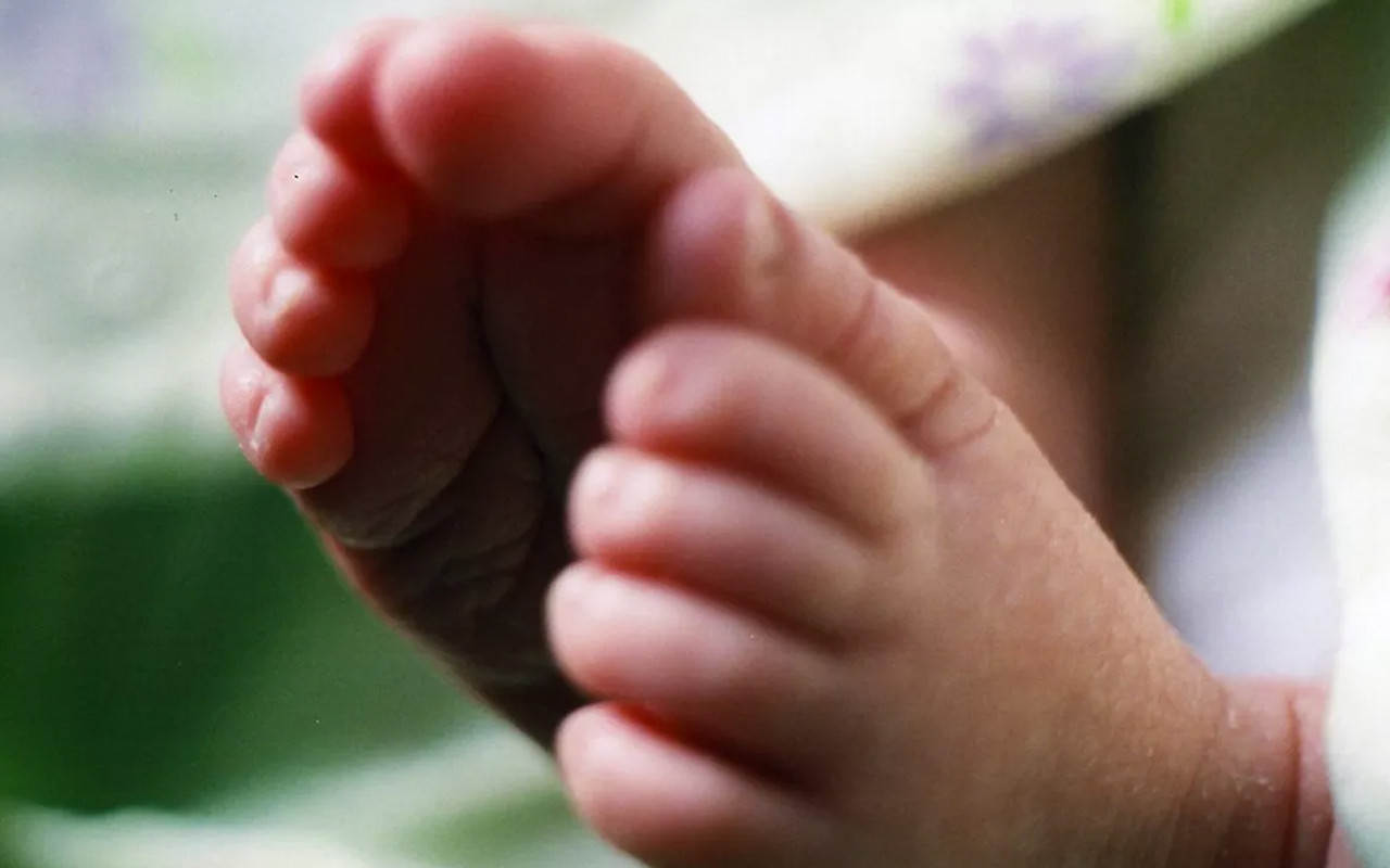 Tüp bebek aşamaları blastosist transferi nedir düşük Tüp bebek aşamaları blastosist transferi nedir düşük