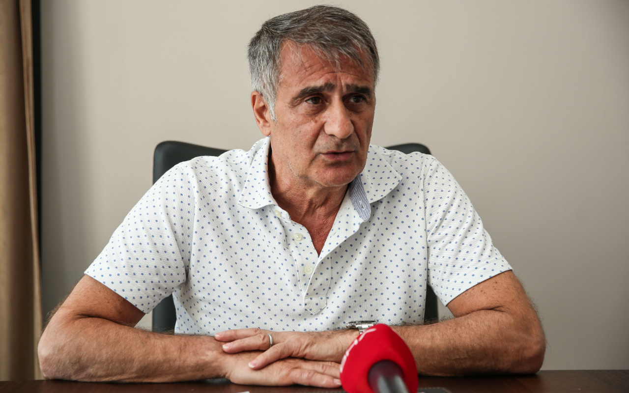 A Milli Takım'da öncelikli hedef Arnavutluk - Internet Haber