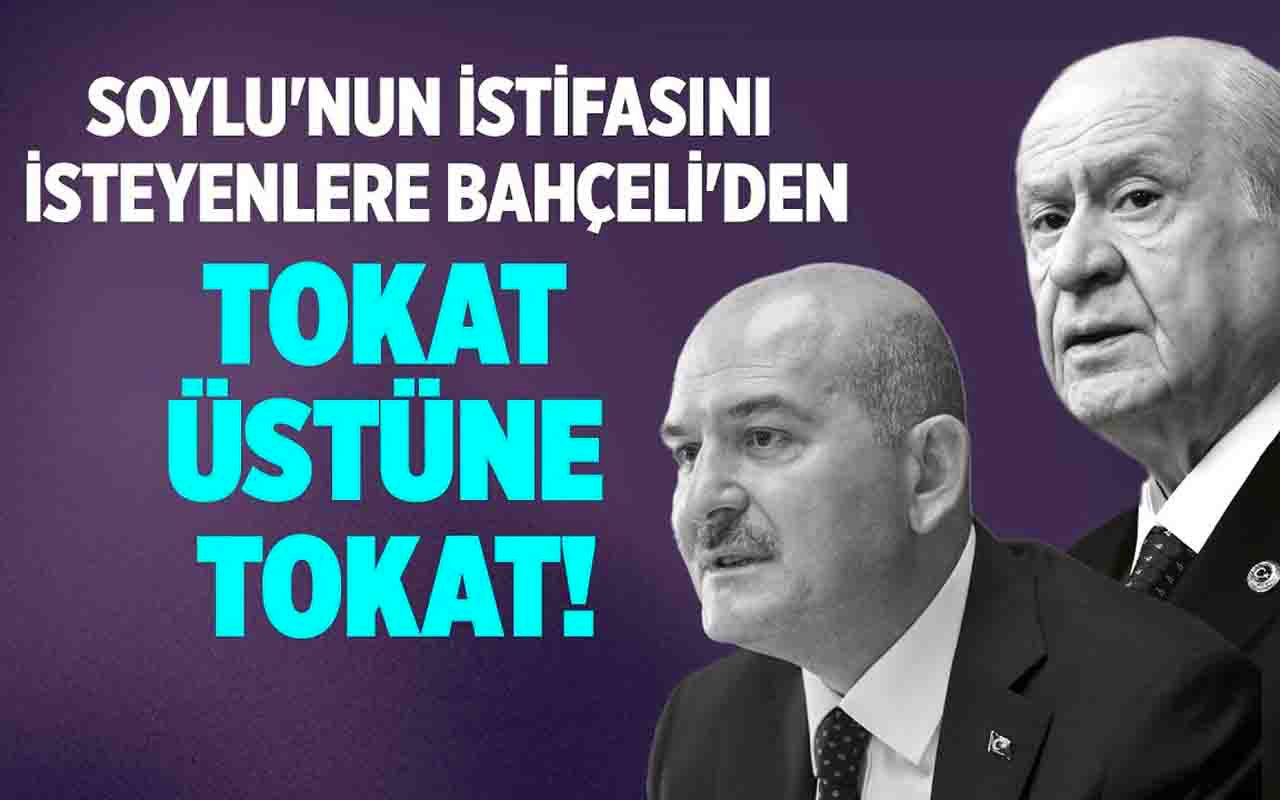 suleyman soylu nun istifasini isteyenlere devlet bahceli den tokat gibi cevap internet haber