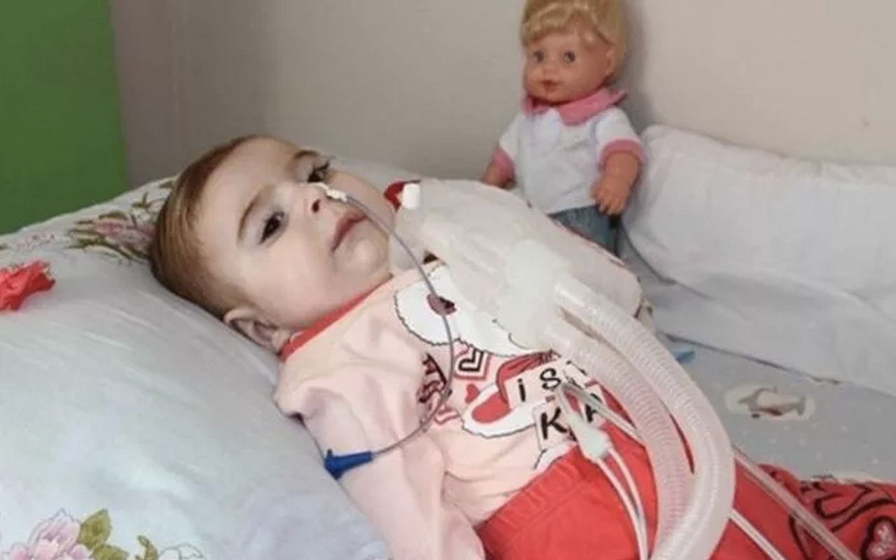 sma testi nedir evlenmeden once sma testi kimlere yapilacak saglik haberleri