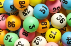 Sayısal loto sonuçları milli piyango bilet sorgulama