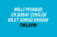 Milli Piyango 29 Şubat 2016 çekilişi bilet sorgulama ekranı