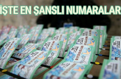 Milli piyango yılbaşı bileti en şanslı numaralar hangisi?