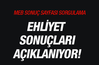 Ehliyet sonuçları sınav sorgu paneli-MTSAS MEB