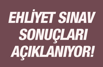Ehliyet sonuçları MEB sınav sorgu ekranı