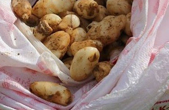 25 kilo salep soğan ile yakalandılar! 300 bin TL ceza yediler