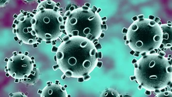 Turk Profesorden Korkutan Koronavirus Aciklamasi Henuz Ulasmadi Internet Haber