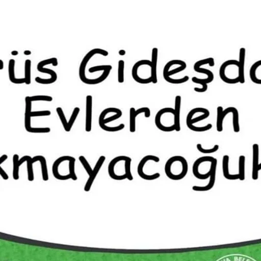 Suluova Belediyesinden Evde Kal Cagrisi Virus Gidesdane Evlerden Cikmayacoguk Internet Haber