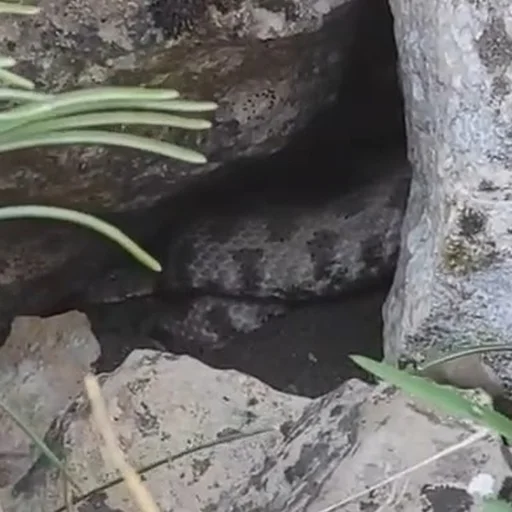 ilk defa bu kadar buyugunu gordu siirt te hemen telefona sarildi
