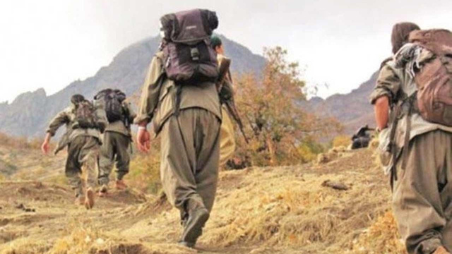 Şırnak'ta 4 PKK'lı terörist teslim oldu