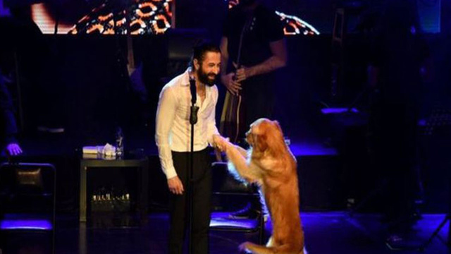 Ünlü şarkıcı köpeğiyle sahne aldı