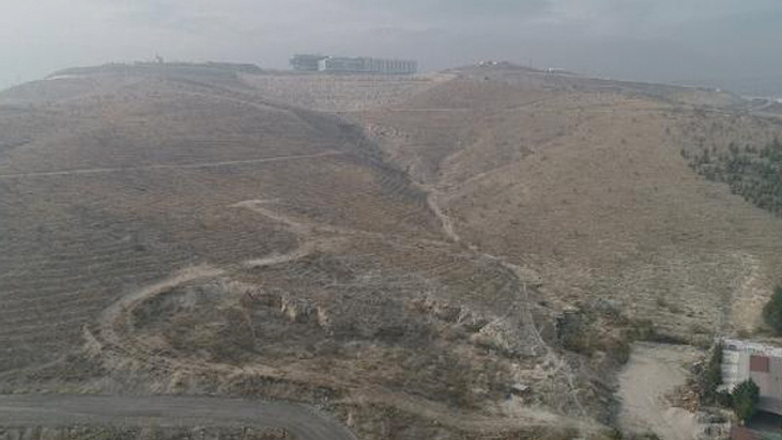 İmara açılacak ağaçlık arazi mahkeme kararıyla kurtuldu