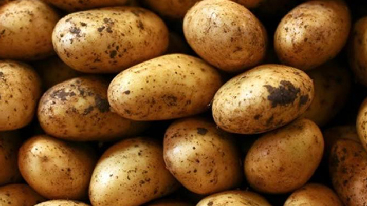 Uyarı yapıldı! '400 bin ton tehlikede, daha fazla tüketin'