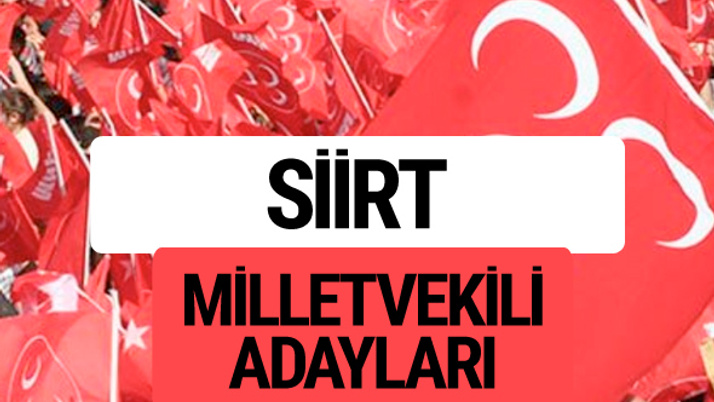 MHP Siirt milletvekili adayları 2018 YSK kesin listesi