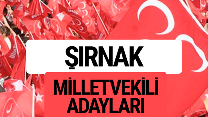 MHP Şırnak milletvekili adayları 2018 YSK kesin listesi