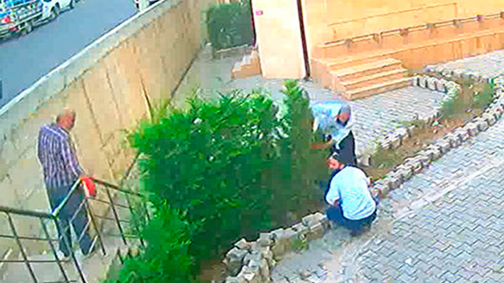 Camideki 31 ağacı 12 dakikada kesmişlerdi..ifadeleri şoke etti