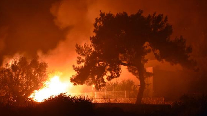 Bodrum'da yürekleri ağza getiren yangın
