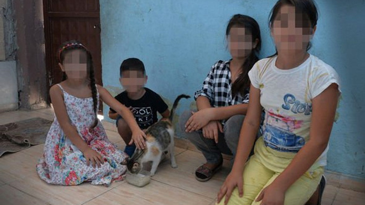 Gelini ve torunlarını evden çıkarmak için kedi parçaladı!