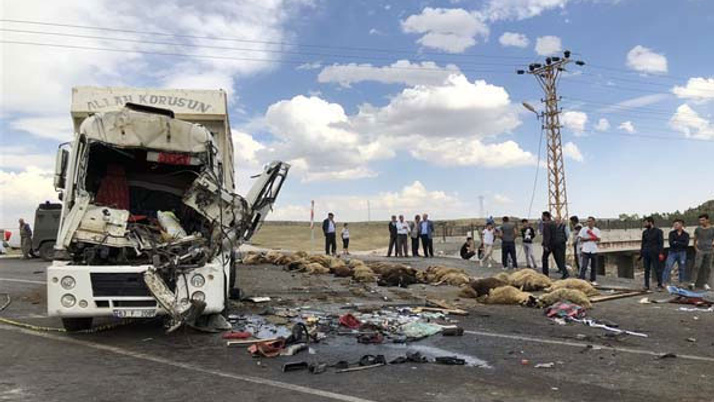 Tır devrildi 30'u ölü 40'ı yaralı küçükbaş hayvan var