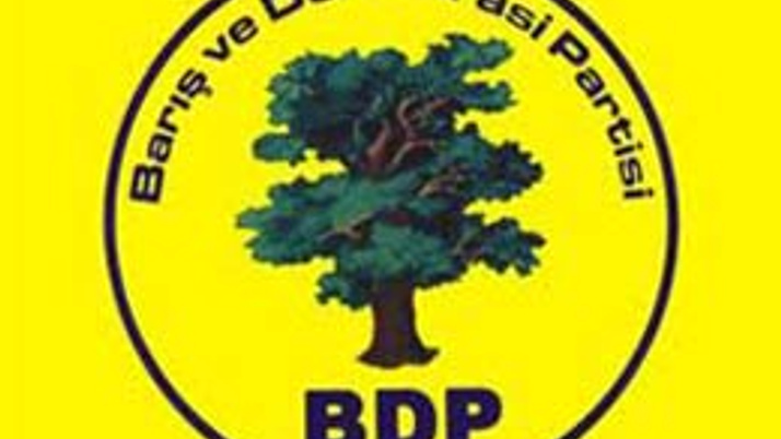 Bağımsız aday polisleri dövdü