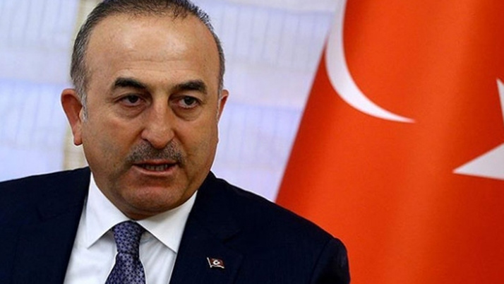 Çavuşoğlu: FETÖ'cüleri Türkiye'ye getireceğiz