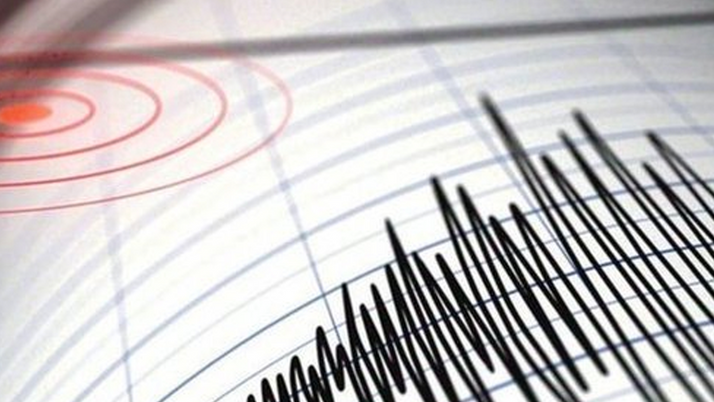 Muğla'da korkutan deprem