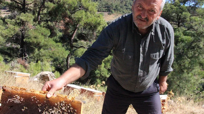 Aydın'da arılar 'Allah', Hasbinallah' yazıp kovanı terk ediyorlar