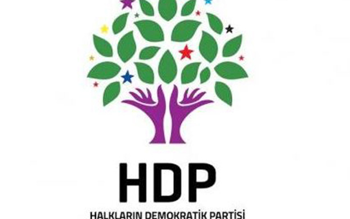HDP'den 2 ilde seçim sonuçlarına itiraz!