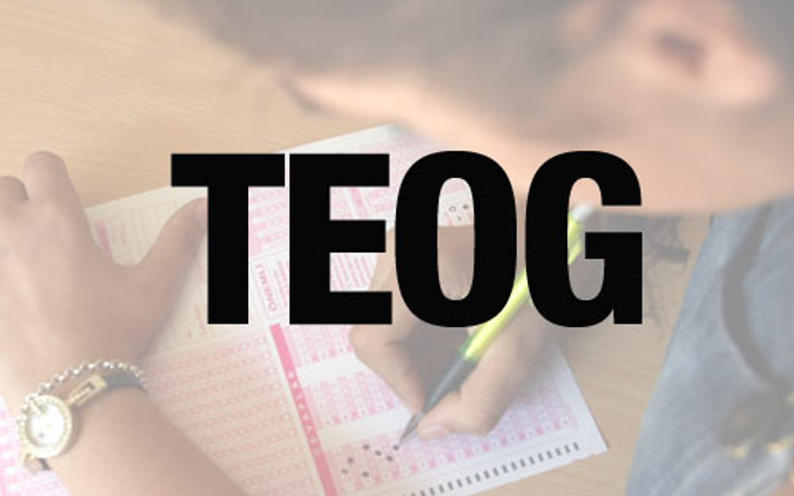 TEOG sınav soruları 2015 bu konulara dikkat!