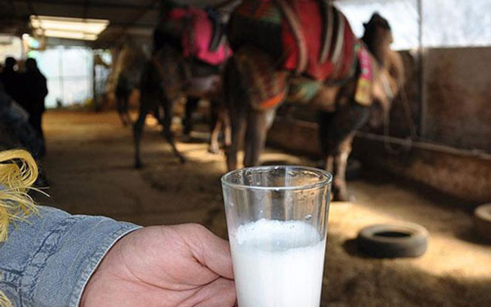 Litresi 50 lira olan deve sütü yok satıyor