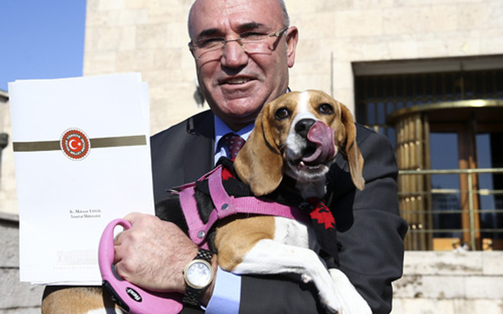 CHP'li Mahmut Tanal Meclis'e köpeğiyle geldi