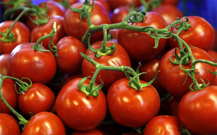 Rusya'dan Türk üreticiye domates müjdesi