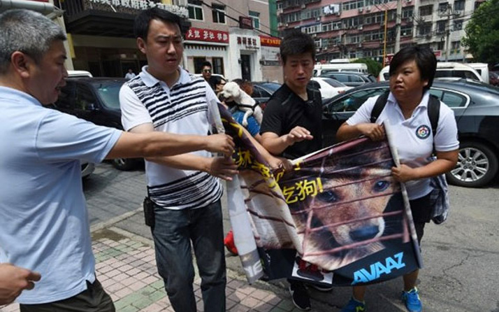 Tayvan'da kedi ve köpek etlerinin yenilmesine yasak
