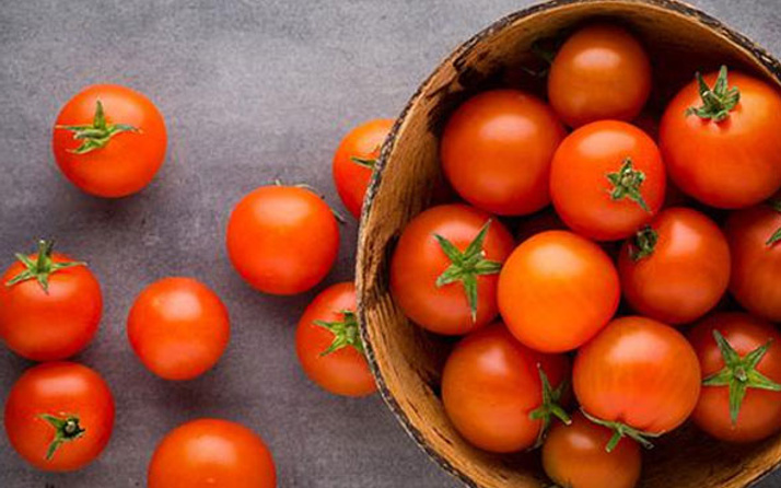 Meğer yanlış biliyormuşuz Canan Karatay'dan domates uyarısı