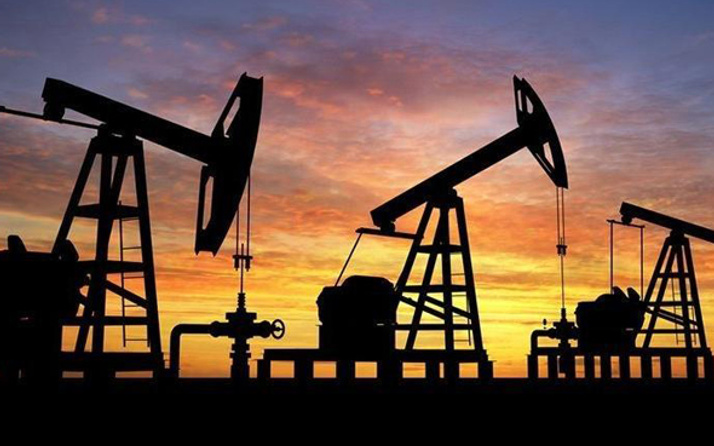 Petrol kısıtlaması Ocak ayında başlıyor