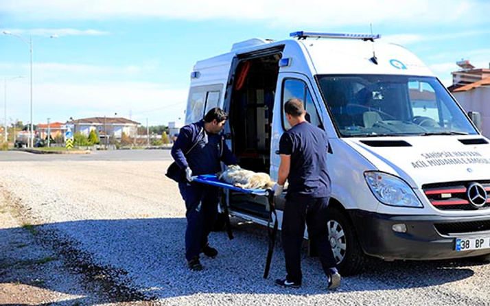 hayvan ambulansi 7 24 hizmette internet haber