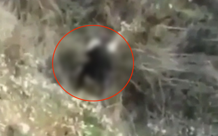 Kayseri'de köpeğe tecavüz ederken yakalanan sapık...
