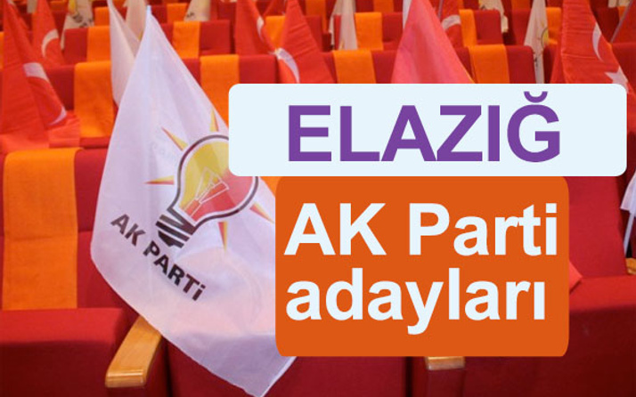 AK Parti Elazığ milletvekili adayları kimler 2018 listesi