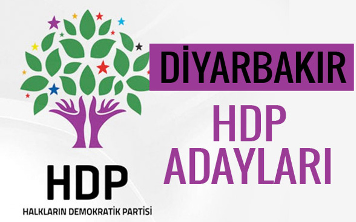 HDP Diyarbakır milletvekili adayları 27. dönem listesi