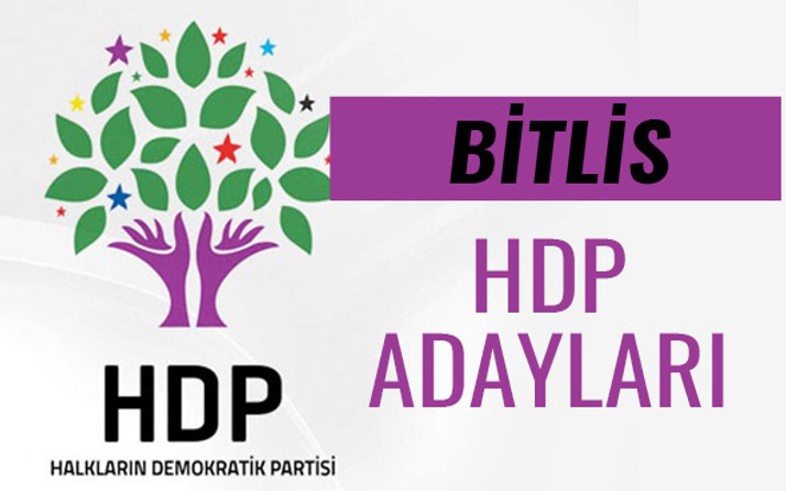HDP Bitlis milletvekili adayları 27. dönem listesi