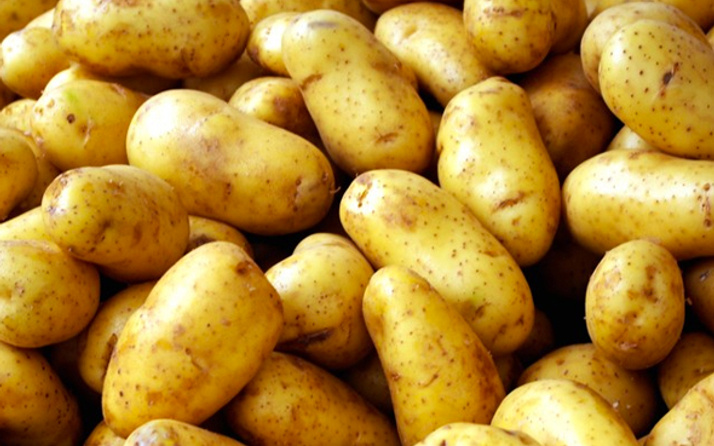 Avrupa'da patates sancısı başladı