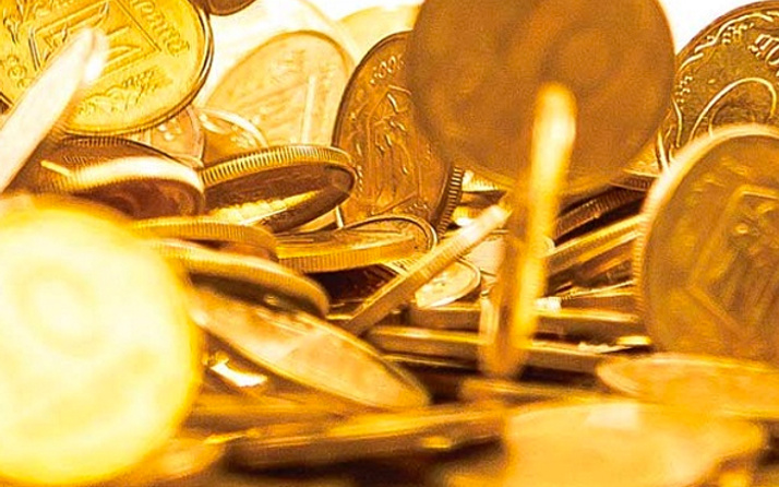 Fiyatı duyan koştu tarihi rekoru kırdı iyi kazandırdı